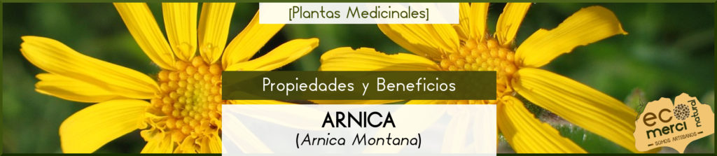 Propiedades y Beneficios de la Árnica