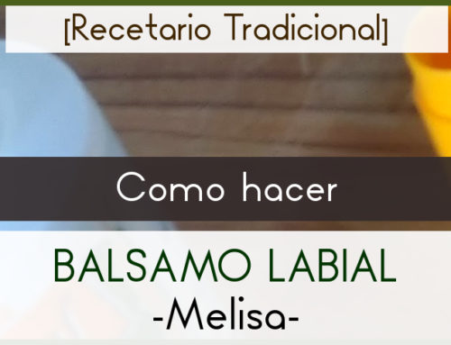 RECETA [Bálsamo labial de Melisa]